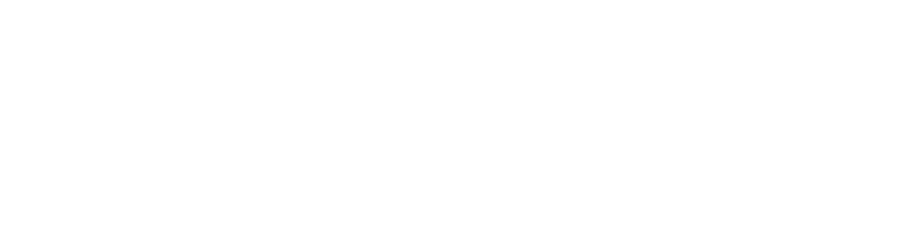 BamAi